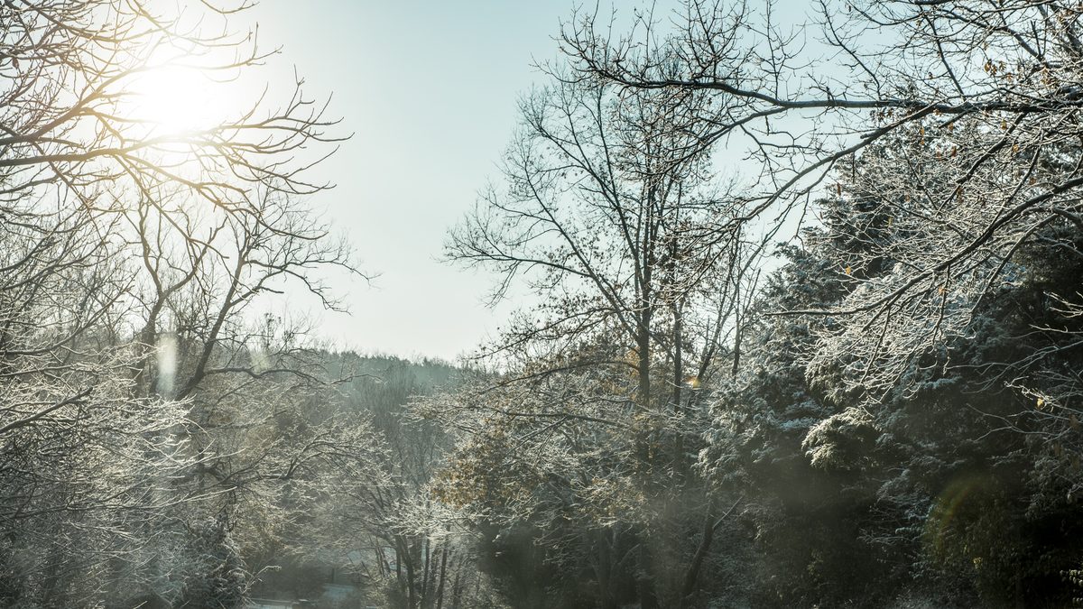A frost and snow covered rural road through the Bluegrass region of Kentucky, lined with bare winter trees