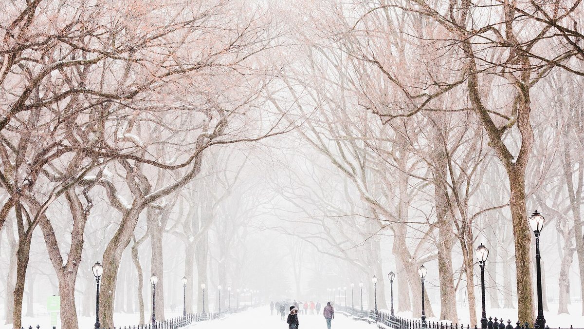 Snow falling on the tree-lined Mall in Central Park, with a few walkers on the covered path and benches buried under snow
